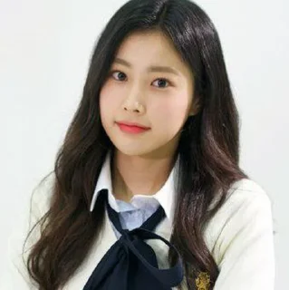 🤝 emoji @ekspedisi as hyewon ✦ Telegram sticker 16 of 23