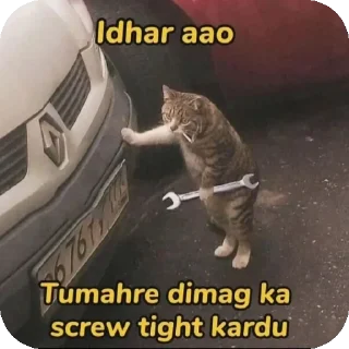Sticker from Fanny memes stickers 😁