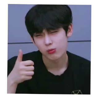 Sticker from Sunoo Memes Stickers