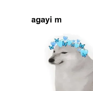 Sticker from Chat memes by insane @d_sassy_soul