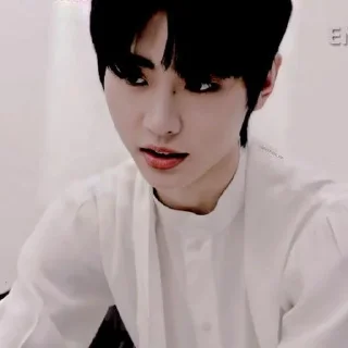 ✨ emoji Sunghoon || by @enhypen01 Telegram sticker 12 of 63