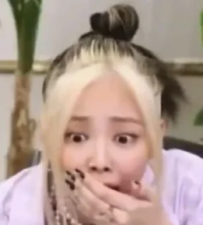 Sticker from KPOP MEME