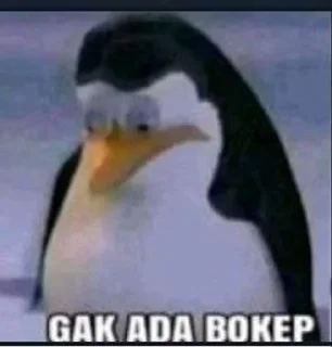 🌟 emoji Peguin bokep Telegram sticker 14 of 52