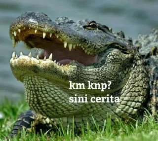 🐊 emoji elang anjg Telegram sticker 9 of 41