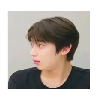 💇 emoji Sunoo Memes Stickers Telegram sticker 8 of 78