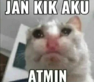 😂 emoji banh 😂☝️ Telegram sticker 8 of 50