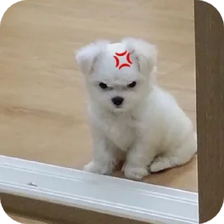 🐶 emoji Johanoe being silly Telegram sticker 9 of 103