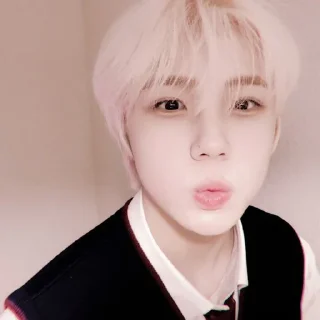 ☎️ emoji ︕ seongmin : @lilbebekuromi Telegram sticker 5 of 60
