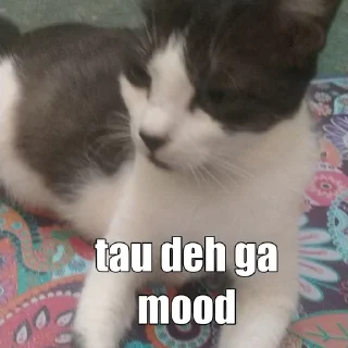 😠 emoji apaan tuh Telegram sticker 19 of 23