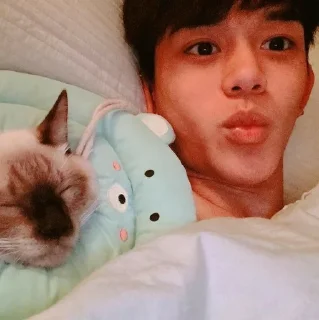 🦁 emoji Lucas NCT ⋆ @stickernct Telegram sticker 9 of 25