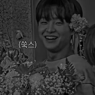 🗝 emoji ➳꒰ jihoon dαrk ꒱ 🕊✿*ﾟ-⎙ @vanmeraeditss Telegram sticker 21 of 44