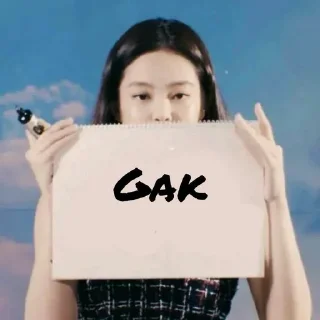 Sticker from ➳꒰ jennie kim ꒱ 🕊✿*ﾟ-⎙ @vanmeraeditss