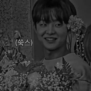 🗝 emoji ➳꒰ jihoon dαrk ꒱ 🕊✿*ﾟ-⎙ @vanmeraeditss Telegram sticker 19 of 44