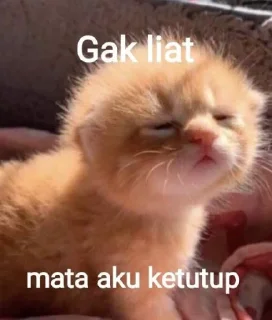 🫶 emoji cutee Telegram sticker 8 of 15
