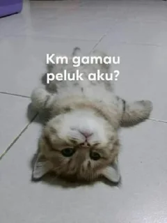 🫶 emoji cutee Telegram sticker 9 of 15