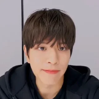 🧚‍♀ emoji seungmin Telegram sticker 7 of 33