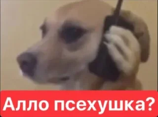 🌟 emoji Крыса обосанная 🐀 Telegram sticker 8 of 107