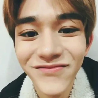 🐶 emoji Lucas Wong @binilucas Telegram sticker 24 of 36