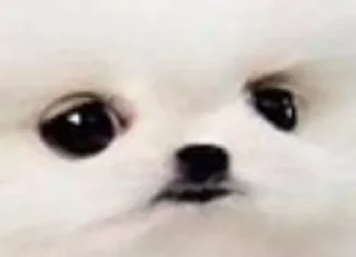 😐 emoji Стикерпак от Спикерпака Telegram sticker 21 of 68