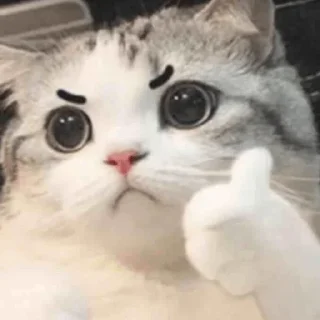 💗 emoji sticker meong Telegram sticker 14 of 29