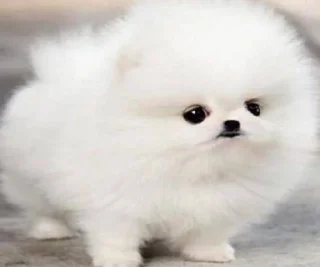 😐 emoji Стикерпак от Спикерпака Telegram sticker 20 of 68