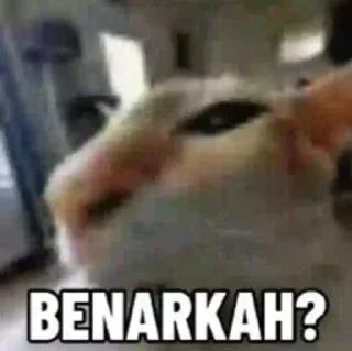 Mim sticker 1