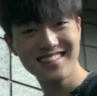 ☺️ emoji hyunsuk choi Telegram sticker 22 of 29