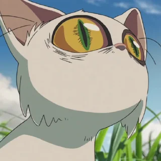 🐈 emoji Daijin @Hanim1O Telegram sticker 20 of 25
