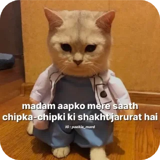 🐱 emoji Piyush Telegram sticker 22 of 65