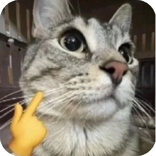 🗿 emoji Ted's Gaming Pack Telegram sticker 23 of 120