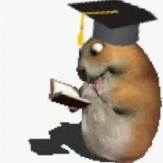 🐰 emoji Hamster Telegram sticker 3 of 7