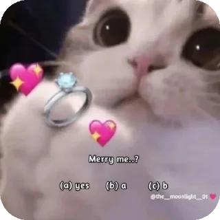 🐱 emoji Fanny memes stickers 😁 Telegram sticker 8 of 120