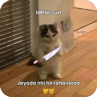🐱 emoji Fanny memes stickers 😁 Telegram sticker 6 of 120