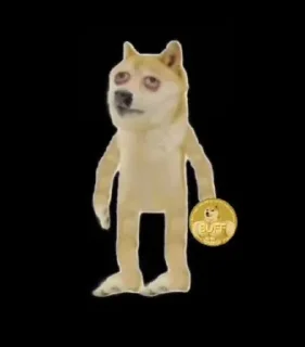 🐶 emoji Crypto Meme Telegram sticker 13 of 19