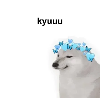 Sticker from Chat memes by insane @d_sassy_soul