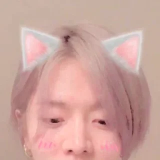 🐰 emoji 𝐘υtα cαtbογ @MmassRl Telegram sticker 24 of 25