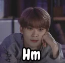 🤨 emoji Jaehyun Nct Telegram sticker 22 of 36