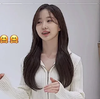 🧺 emoji 👩🏻‍🎨. haewon ⭒ @larchzy Telegram sticker 22 of 74