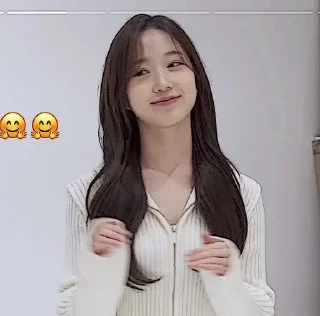 🧺 emoji 👩🏻‍🎨. haewon ⭒ @larchzy Telegram sticker 20 of 74
