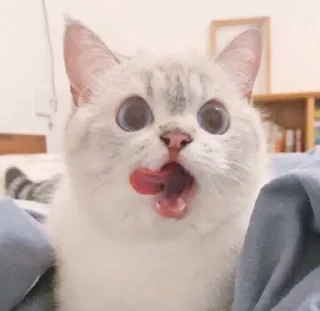 😛 emoji 小涼伴 Telegram sticker 19 of 36