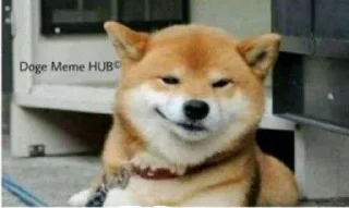 😏 emoji namak na Telegram sticker 22 of 120