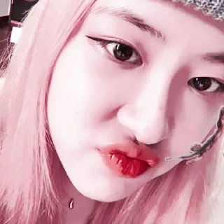 😙 emoji ⋆ park chaeyoung ⋆ @pradaskirts Telegram sticker 12 of 30