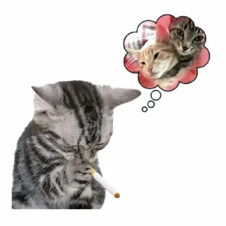 🌟 emoji this sticker belongs to @uStalwart Telegram sticker 5 of 88