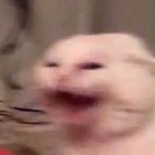 🤣 emoji jiji Telegram sticker 10 of 44