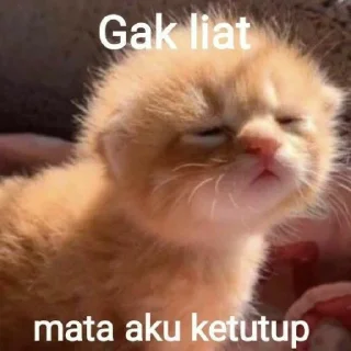 🙈 emoji kemungkinan joel Telegram sticker 5 of 79