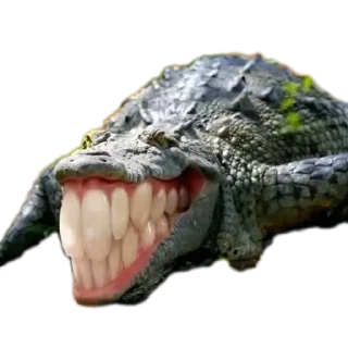 🫸 emoji Mofat1 Telegram sticker 18 of 25