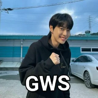 😜 emoji GK gau Telegram sticker 17 of 38