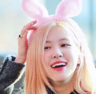 🌹 emoji park chaeyoung @CIGARDEVIL Telegram sticker 22 of 100