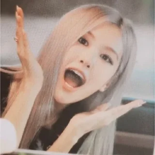 🌹 emoji park chaeyoung @CIGARDEVIL Telegram sticker 17 of 100