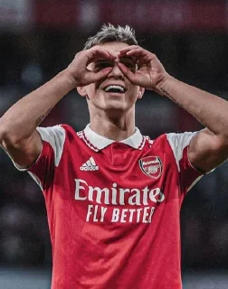 ❤️ emoji @arsenal_fans_group ❤️⚽ Telegram sticker 5 of 8